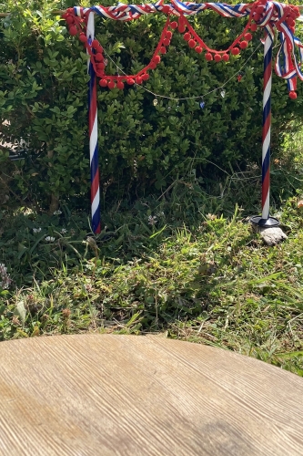 chiff 14 juillet jardin fête 1.jpg