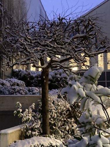 chiff neige en rentrant du travail.jpg
