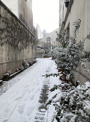 chiff neige un matin de janvier.jpg
