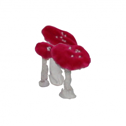 champignons rouges.jpg