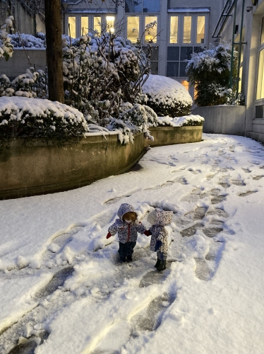 chiff neige un soir de janvier.jpg